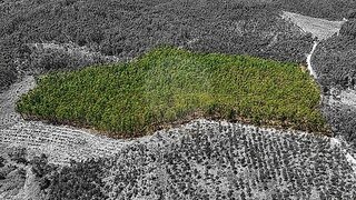 Land for sale in Rio Maior, Portugal — €95,000