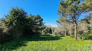 Land for sale in Bombarral, Portugal — €65,000