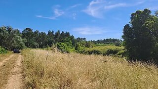 Land for sale in Anadia, Portugal — €25,000
