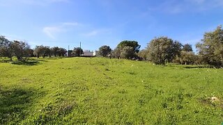 Land for sale in São Brás de Alportel, Portugal — €230,000