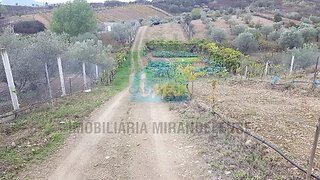 Land for sale in Mirandela, Portugal — €54,500