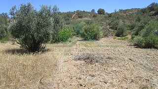 Land for sale in Castro Marim, Portugal — €19,000