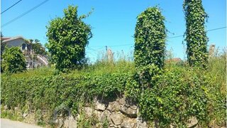 Land for sale in Esposende, Portugal — €79,000