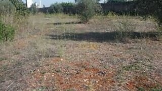 Land for sale in Torres Novas, Portugal — €45,000