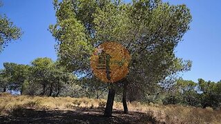 Land for sale in Castro Marim, Portugal — €69,000
