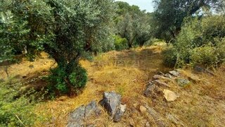 Terreno de 520 m² em Castelo Branco
