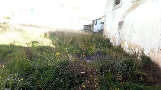 Land for sale in Salvaterra de Magos, Portugal — €300,000