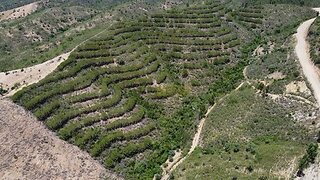 Land for sale in Silves, Portugal — €75,000