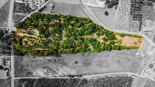 Land for sale in Bombarral, Portugal — €330,000