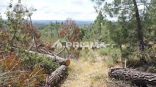 Land for sale in Castelo Branco, Portugal — €33,000