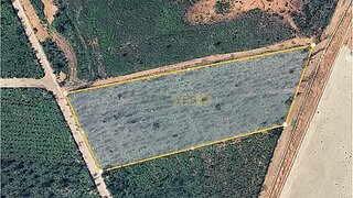Land for sale in Albergaria-a-Velha, Portugal — €390,000