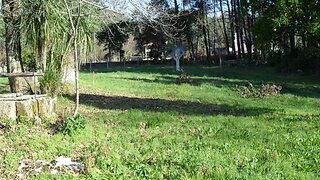 Land for sale in Ponte de Lima, Portugal — €85,000