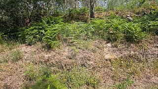 Land for sale in Baião, Portugal — €15,000