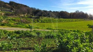 Land for sale in Albergaria-a-Velha, Portugal — €320,000