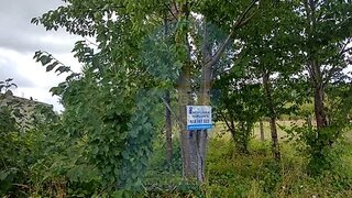 Land for sale in Anadia, Portugal — €15,500