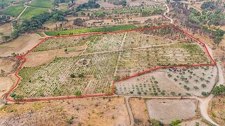 Land for sale in Pinhel, Portugal — €55,000