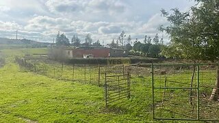Land for sale in Serpa, Portugal — €285,000