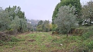 Land for sale in Penela, Portugal — €35,000