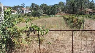 Land for sale in Melgaço, Portugal — €7,500