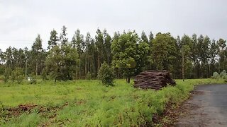 Land for sale in Marinha Grande, Portugal — €50,000