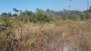 Terreno em Torres Novas · 14 800 m² · 7400 €