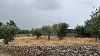 Land for sale in Oliveira do Hospital, Portugal — €14,800