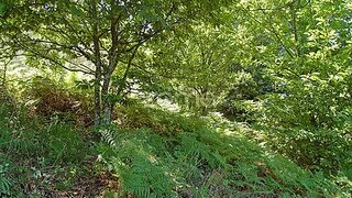 Land for sale in Gouveia, Portugal — €55,000