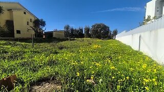 Land for sale in Abrantes, Portugal — €65,000