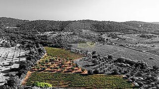 Land for sale in Vidigueira, Portugal — €30,000