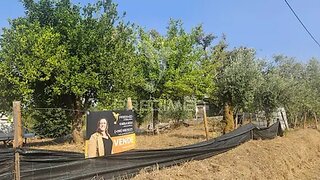 Land for sale in Ferreira do Zêzere, Portugal — €26,500