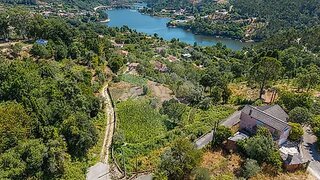 Terreno em Oliveira de Frades