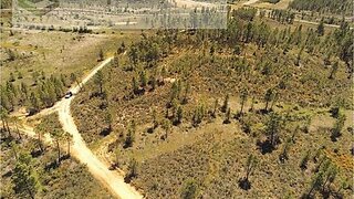 Terreno de 3840 m² em Castelo Branco