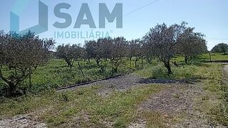 Terreno em Cadaval · 2761 m² · 65 000 €