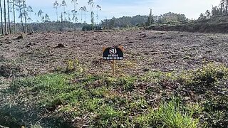 Land for sale in Ovar, Portugal — €75,000