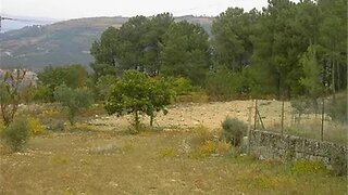 Land for sale in Tarouca, Portugal — €80,000