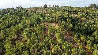 Terreno em Penalva do Castelo