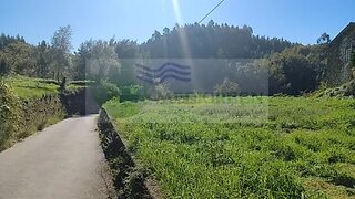 Land for sale in Sever do Vouga, Portugal — €20,000