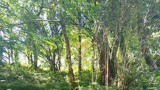 Terreno em Amares
