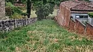 Terreno em Carregal do Sal