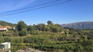 Land for sale in Baião, Portugal — €90,000