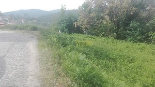Land for sale in Castelo de Paiva, Portugal — €45,000