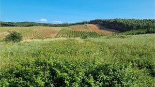 Land for sale in Bombarral, Portugal — €100,000