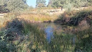 Land for sale in Penamacor, Portugal — €32,380