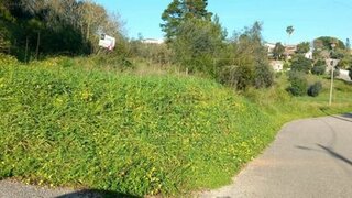 Terreno de 3000 m² em Coimbra
