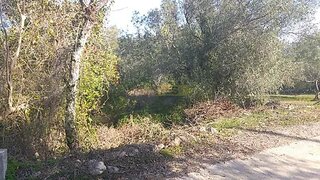 Land for sale in Loulé, Portugal — €21,000