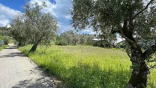 Land for sale in Miranda do Corvo, Portugal — €27,000