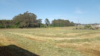 Land for sale in Mogadouro, Portugal — €1,200,000