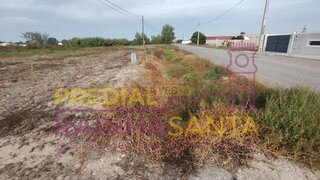 Land for sale in Salvaterra de Magos, Portugal — €88,000