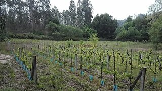 Land for sale in Aveiro, Portugal — €30,000