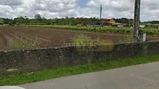 Land for sale in Oliveira do Bairro, Portugal — €88,425